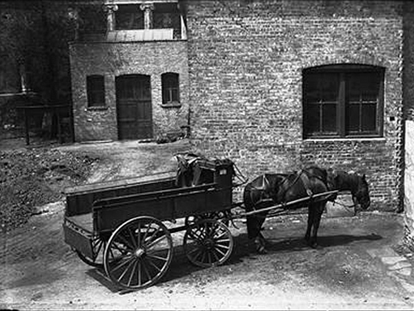 History of Campbell Group of Companies
